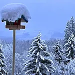 Radochsbergloft Abtenau