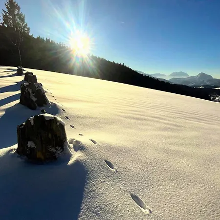 Radochsbergloft Abtenau