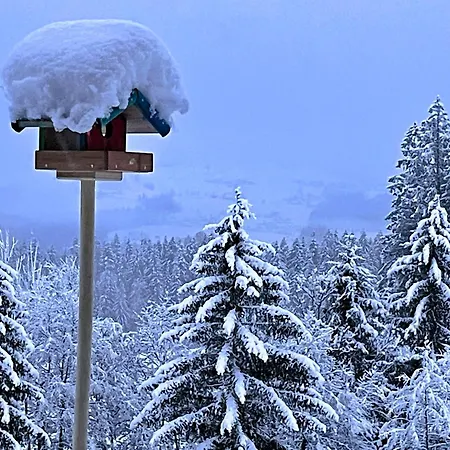 Radochsbergloft Abtenau