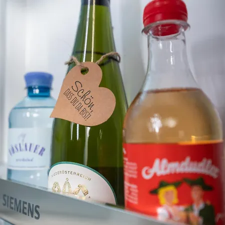 Radochsbergloft Lägenhet Abtenau