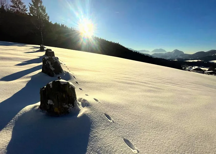 Radochsbergloft Abtenau