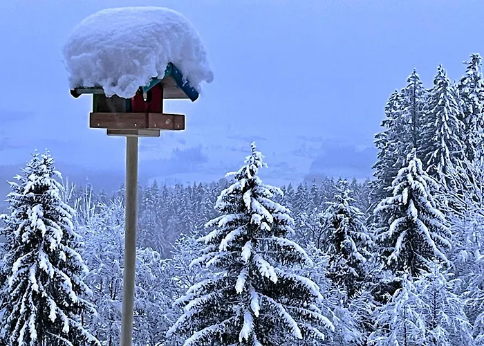 Radochsbergloft Abtenau